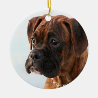 Ornamento del perrito del boxeador