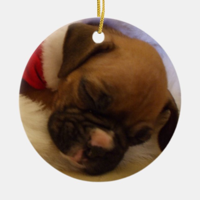 Ornamento del perrito del boxeador del navidad el (Frente)