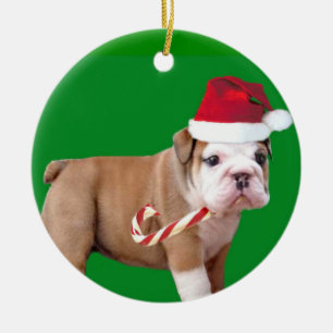 Ornamento del perrito del bulldog del navidad