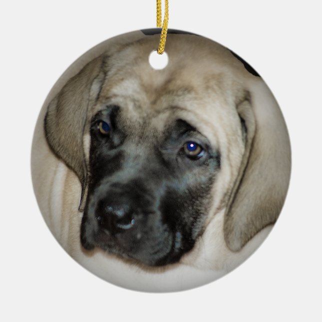Ornamento del perrito del mastín (Frente)