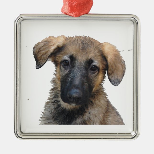 Ornamento del perrito del pastor alemán (Frente)