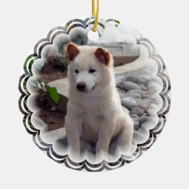 Ornamento del perrito del perro chino (Frente)