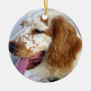 Ornamento del perrito del perro de aguas de