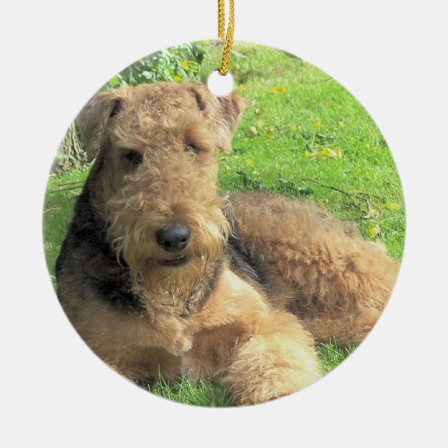 Ornamento del perro de Airedale Terrier (Frente)