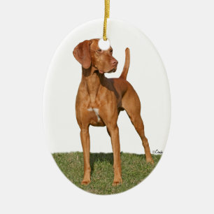 Ornamento del perro de caza de Viszla
