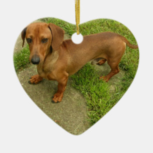 Ornamento del perro de Daschund