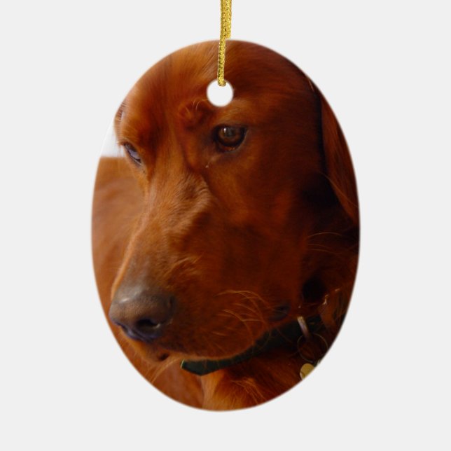 Ornamento del perro de Irish Setter (Frente)
