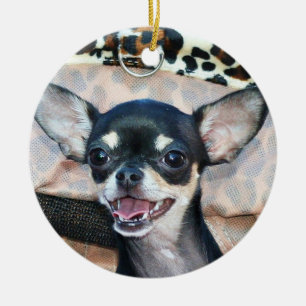 Ornamento del perro de la chihuahua