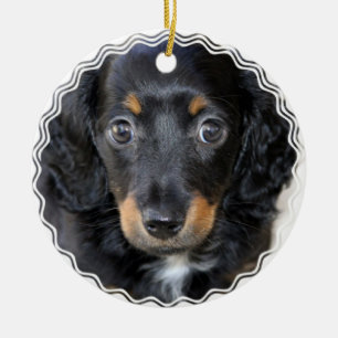 Ornamento del perro de perrito de Daschund