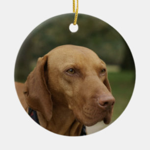Ornamento del perro de Rhodesian Ridgeback