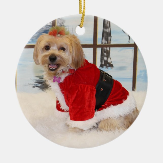Ornamento del perro de Shih Tzu del navidad (Frente)