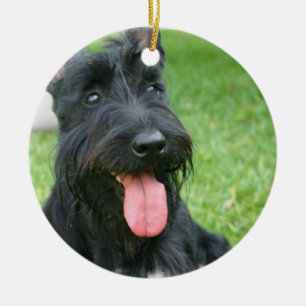 Ornamento del perro de Terrier del escocés