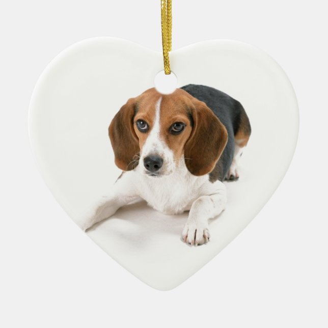 Ornamento del perro del beagle (Frente)