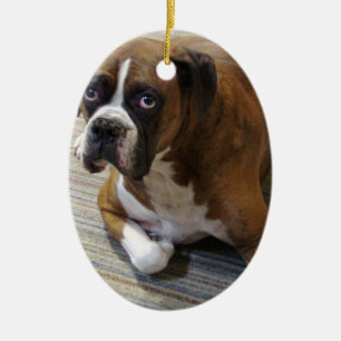 Ornamento del perro del boxeador