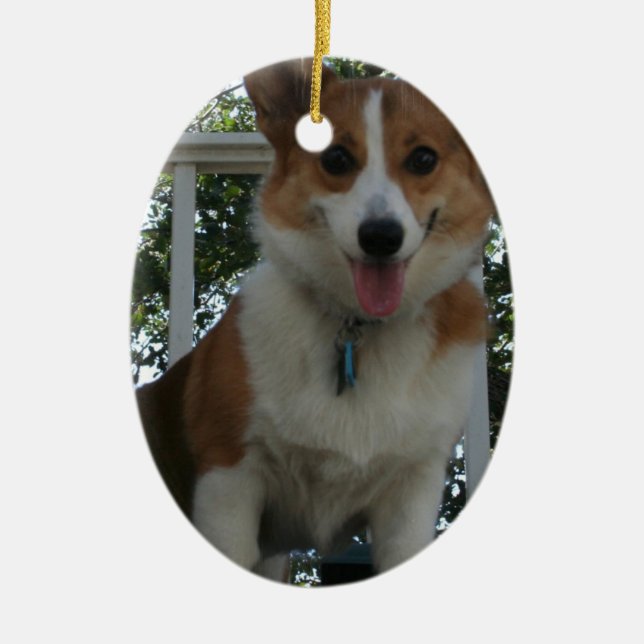 Ornamento del perro del Corgi (Frente)