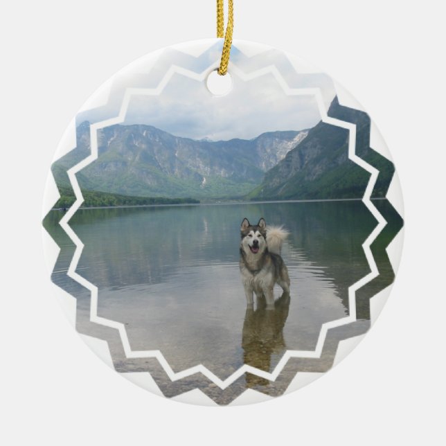 Ornamento del perro del Malamute (Frente)