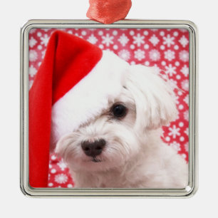 Ornamento del perro del navidad