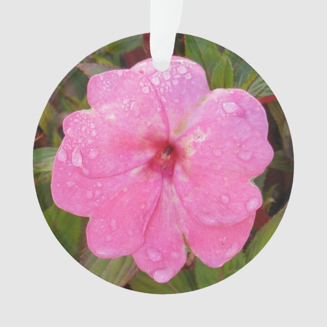 Ornamento del personalizado de flores rosadas (Anverso)