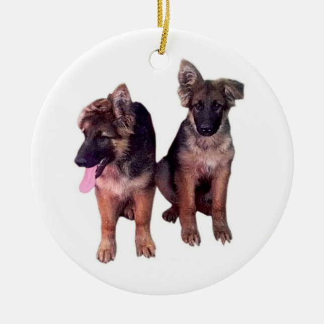 Ornamento del personalizado de los perritos del (Frente)