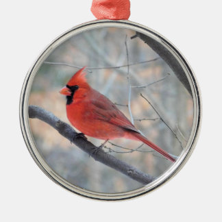 Ornamento del Personalizado de perfil del Cardenal