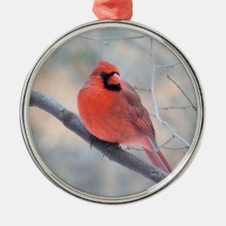Ornamento del Personalizado del Cardenal Creek