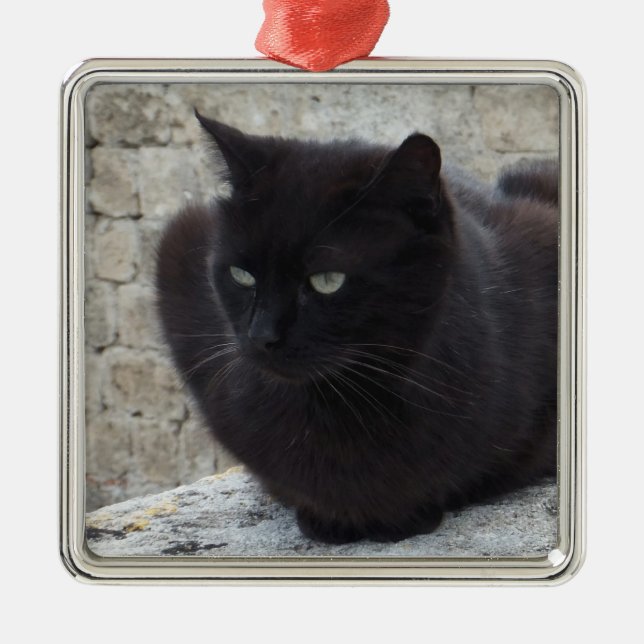 Ornamento del personalizado del gato negro (Frente)