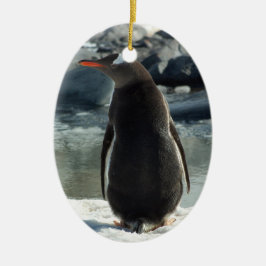 Ornamento del pingüino de Gentoo