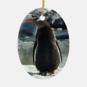 Ornamento del pingüino de Gentoo