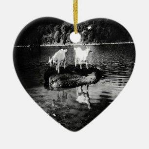 Ornamento del poder de la cabra