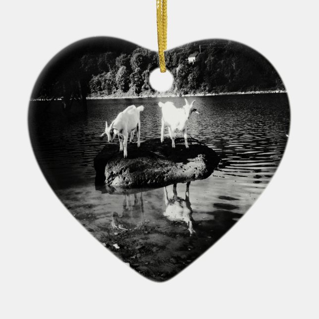 Ornamento del poder de la cabra (Frente)