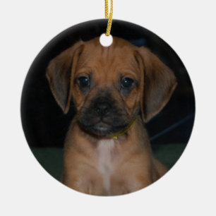 ornamento del puggle