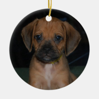 ornamento del puggle
