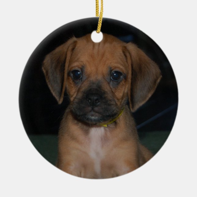 ornamento del puggle (Frente)
