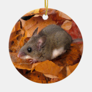 Ornamento del ratón del navidad