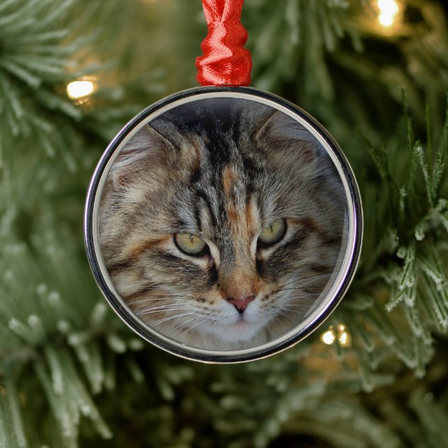 Ornamento del retrato del gato de los navidades (Árbol)