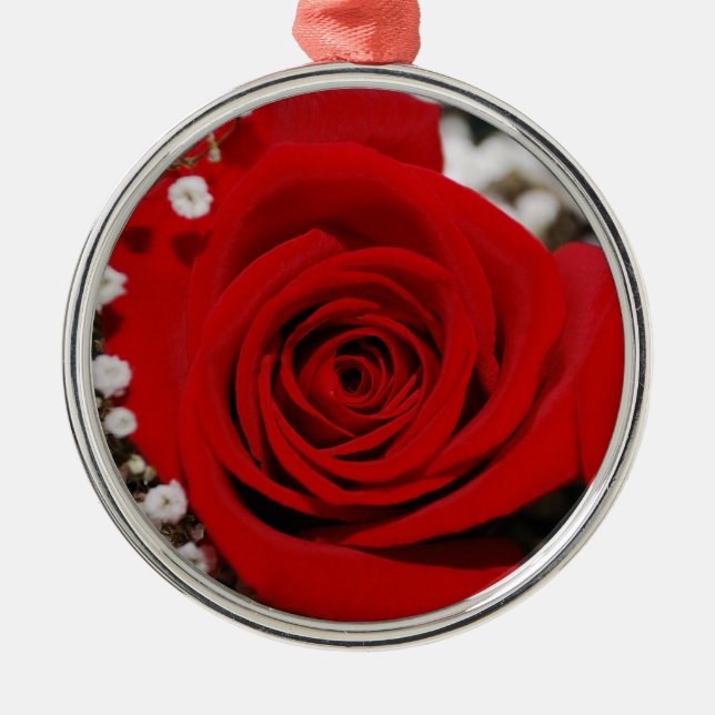 Ornamento del rosa rojo (Frente)