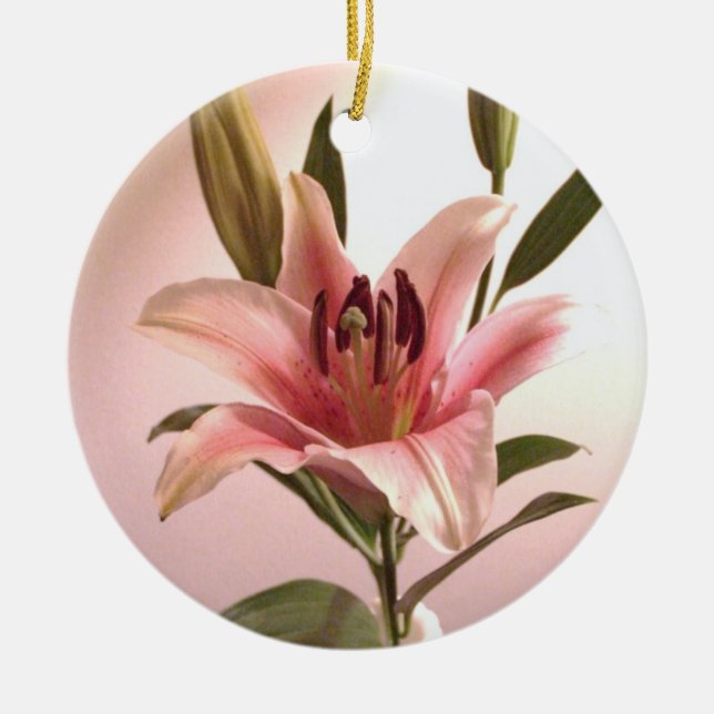 Ornamento del Stargazer (Frente)