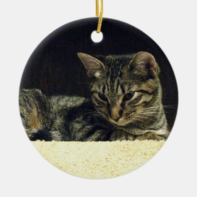 Ornamento del Tabby (Frente)