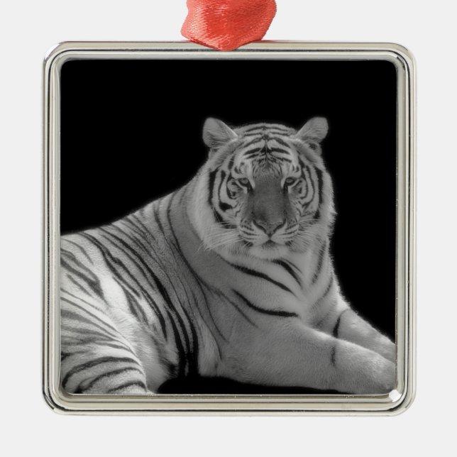 Ornamento del tigre blanco (Frente)