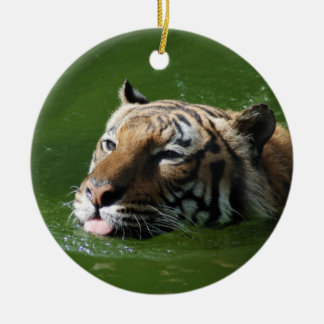Ornamento del tigre de la natación