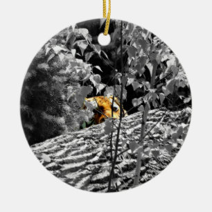 Ornamento del tigre Peek-a-boo