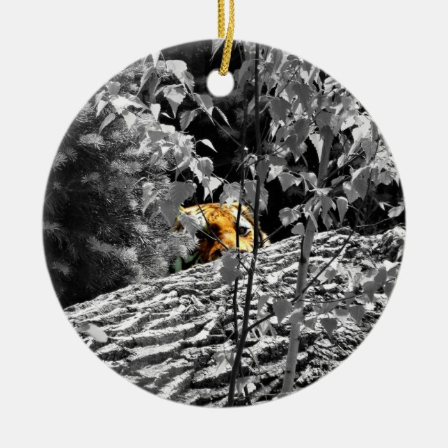 Ornamento del tigre Peek-a-boo (Frente)