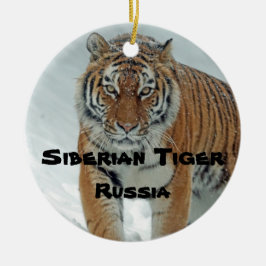 Ornamento del tigre siberiano de la serie de espec