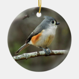 Ornamento del Titmouse copetudo