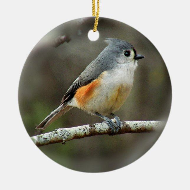 Ornamento del Titmouse copetudo (Frente)