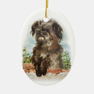 Ornamento desaliñado del perro