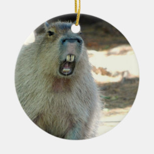 Ornamento divertido del Capybara