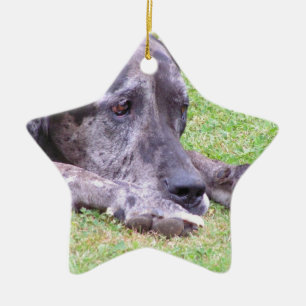 Ornamento dulce de great dane