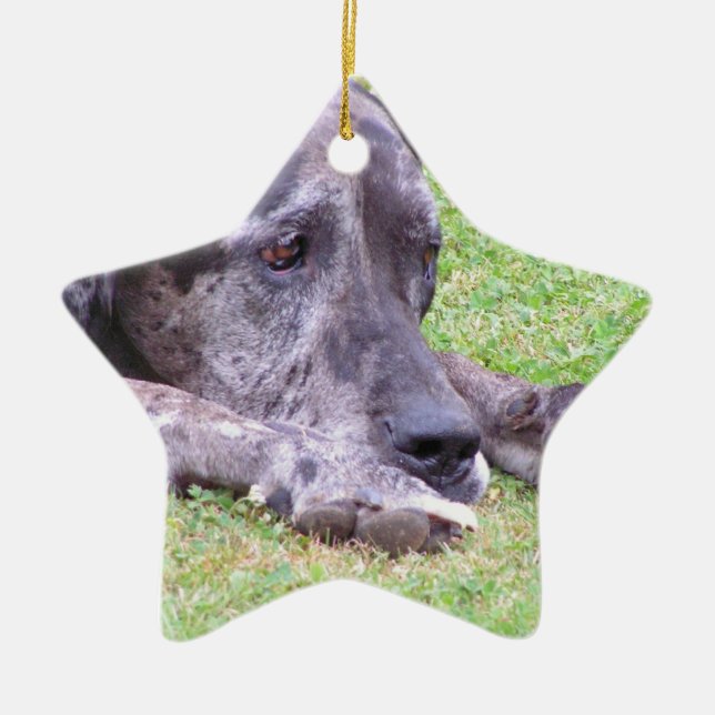 Ornamento dulce de great dane (Frente)