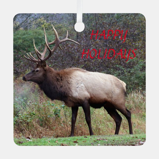Ornamento Elk Happy Holidays (Anverso)